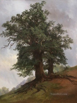 Ivan Ivanovich Shishkin Painting - old oak 1866 classical landscape Ivan Ivanovich